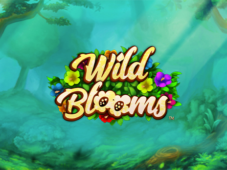 Wild Blooms SYNOT Games