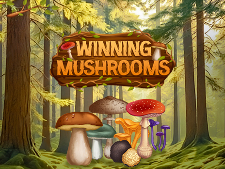 Zábavný automat Winning Mushrooms